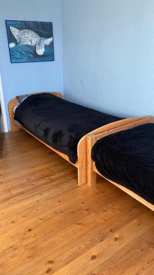 Appartement Eifelfee à Roetgen Extérieur photo
